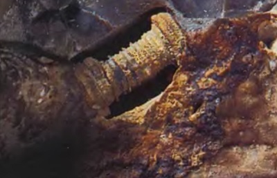Vartas