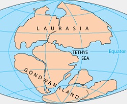 Gondvana