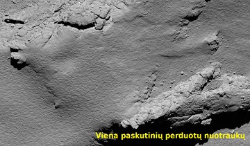 Rosette viena paskutinių nuotraukų