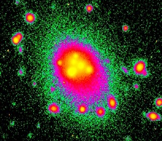 Galaxy canibalism: Galaxy N5194