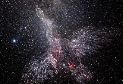 Cygnus Constallation