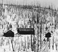 Kuliko nameliai