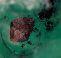 carbonaceous chondrite