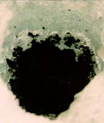 carbonaceous chondrite