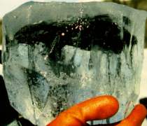 carbonaceous chondrite