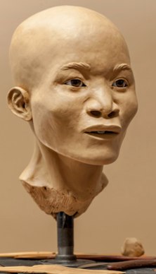 Reconstructed Naia