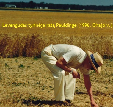 Levengudas 1996 Ohajo