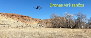 Dronas vir Skinvolkerio ranos
