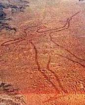 Marree Man drawing