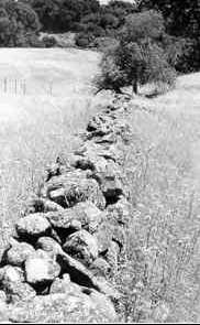 Stone wall in close.