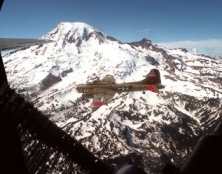 Mt Rainier and pike of Little Tahoma