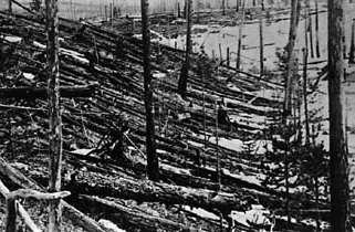 After Tunguska explosion
